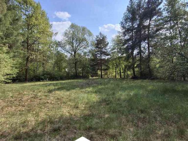 Do sprzedania działka 3000 m² z MPZP i mediami