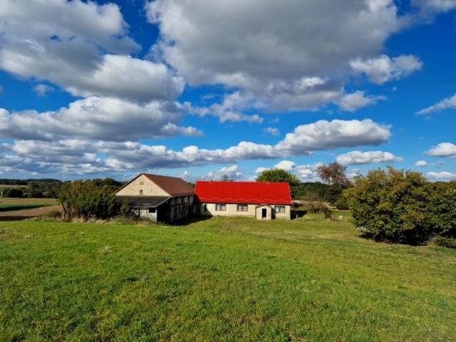 Dom 100 m², Łabędzie