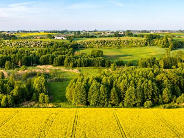 Dom 130 m², Węgiersk