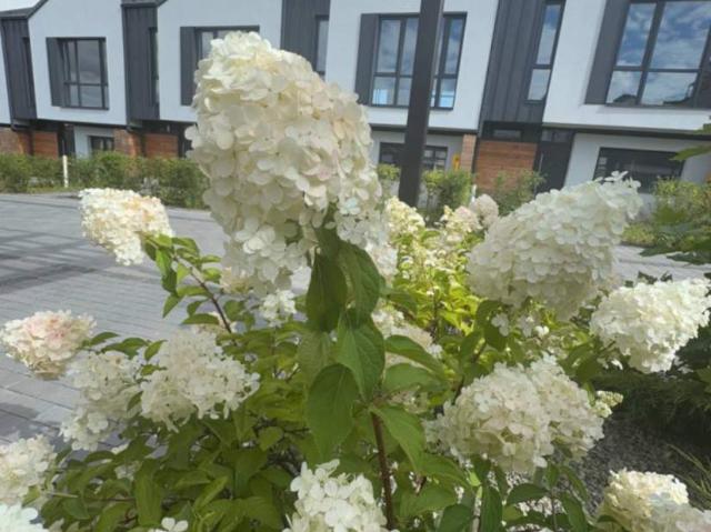 дом 160 m2 Озерная