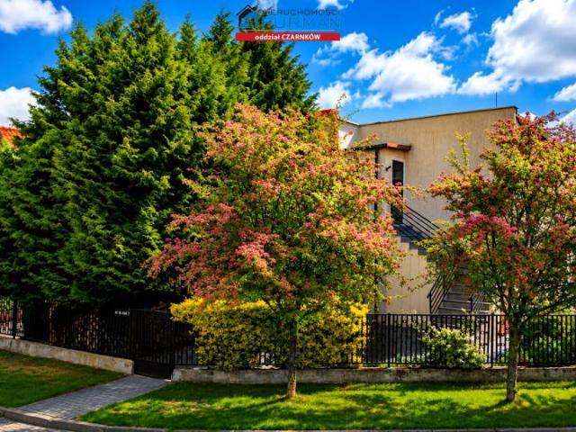 Dom 162 m², Trzcianka