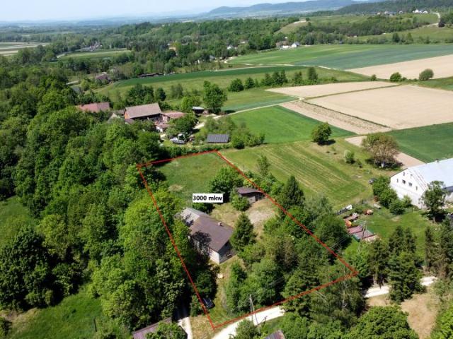 Dom 180 m², Pławnica