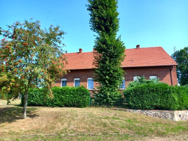 Dom 190 m², Dłusko Gryfińskie