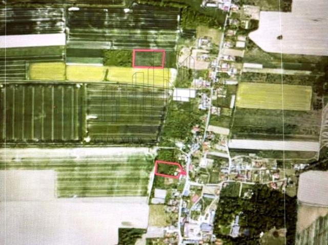 Dom 19 000 m², Godzięcin