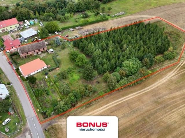 Dom 200 m², Słodkowo