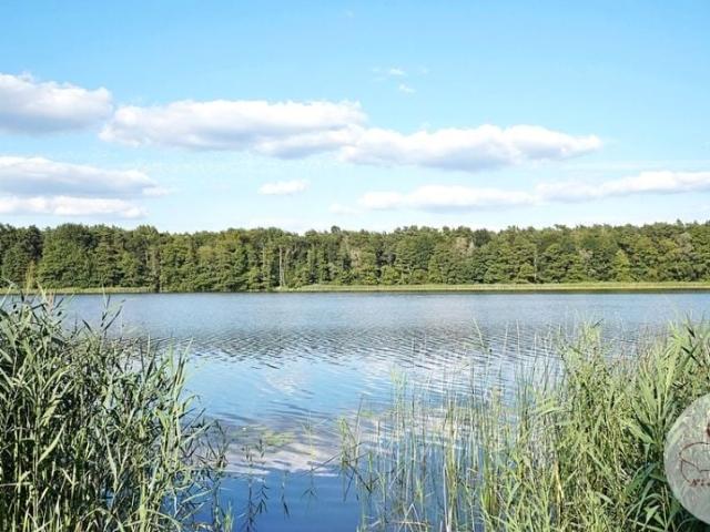 Dom 28 m², Dymaczewo Nowe