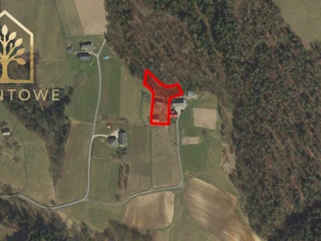 Dom 2 920 m², Kobylec