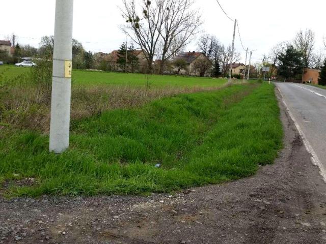 Dom 300 m², Domaniów