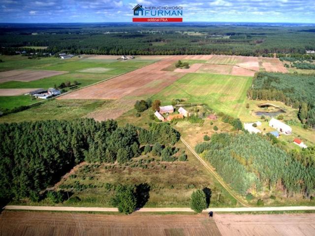 Dom 300 m², Jędrzejewo
