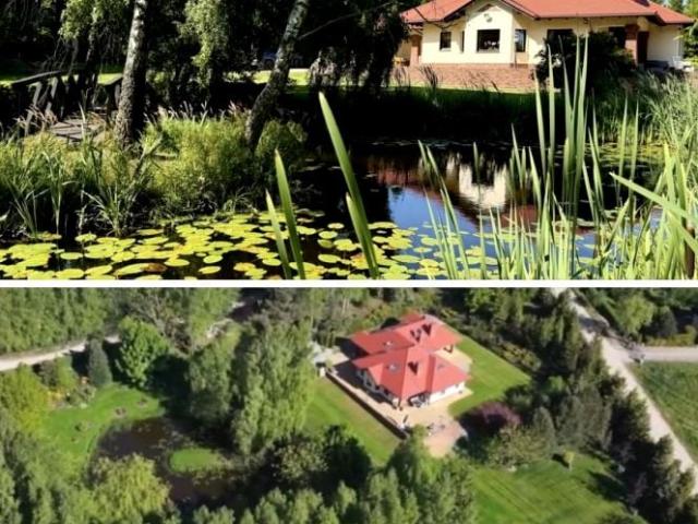 Dom 320 m², Przyjaźń