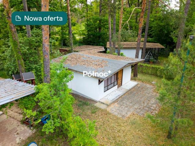 Dom 34 m², Ptaki