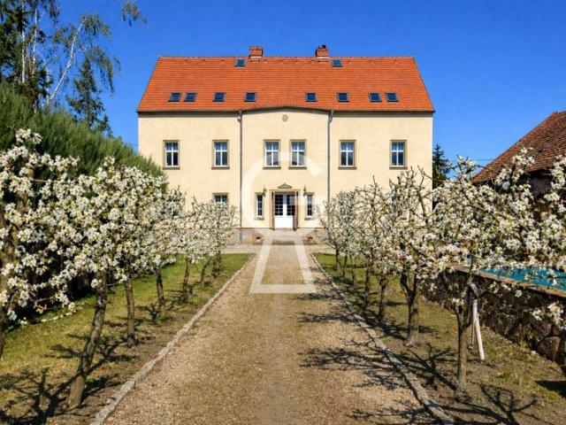 Dom 377 m², Górzec