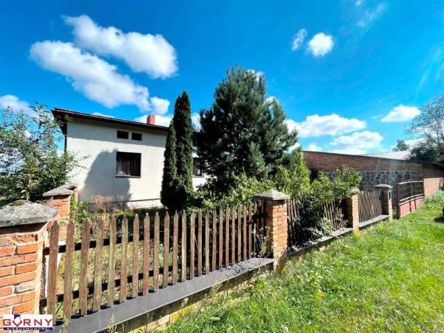 Dom 400 m², Wodzin Majoracki