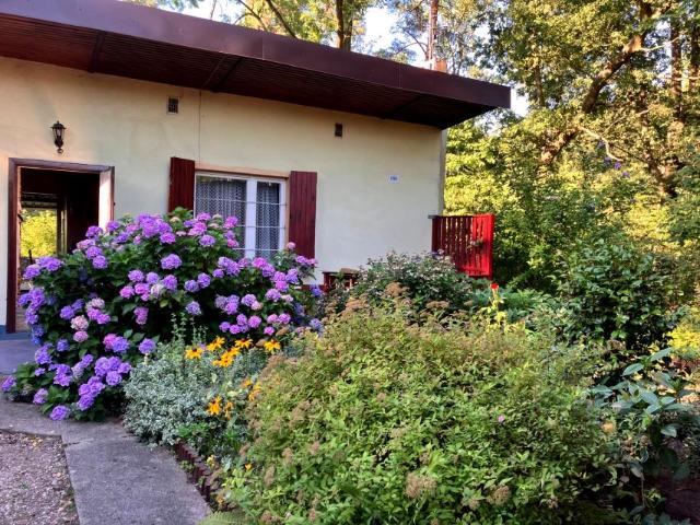 Dom 43 m², Rokitki