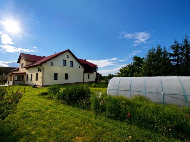 Dom 540 m², Boguszyn