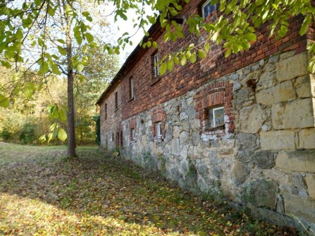 Dom 600 m², Chmieleń