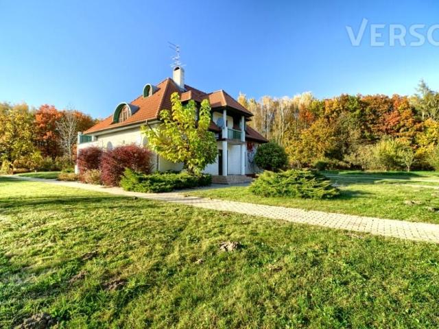 Strzelce 710 m², Strzelce