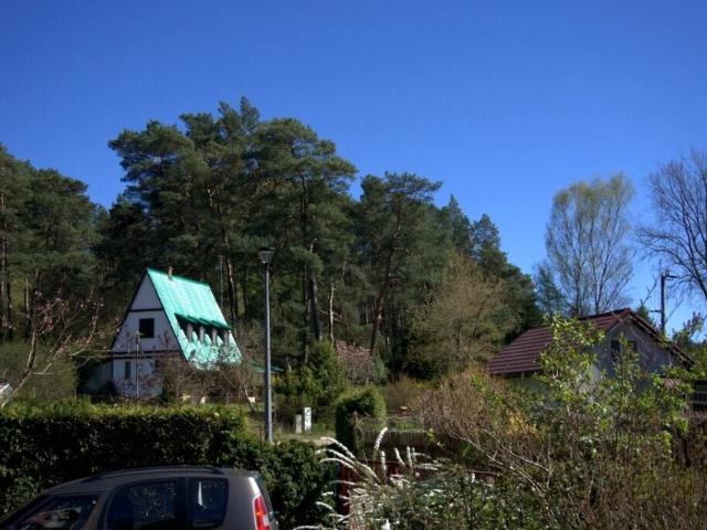 Dom 80 m², Rościn