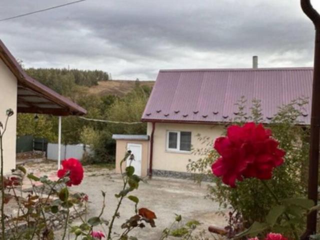 дом 90 m2 Старый Вишневец