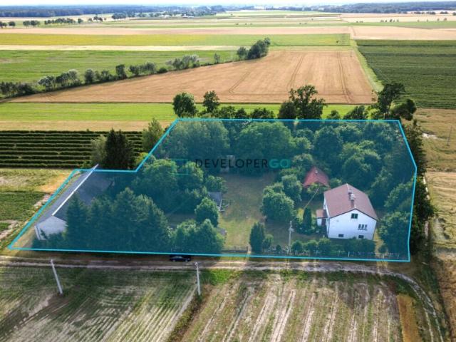 Dom 90 m², Wojnów