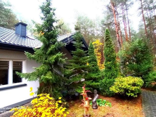 Dom 90 m², Dobczyn