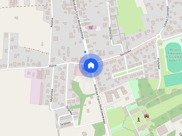 Dom do wynajęcia, 130 m², 4 pokoje Wolbórz Bronisławów