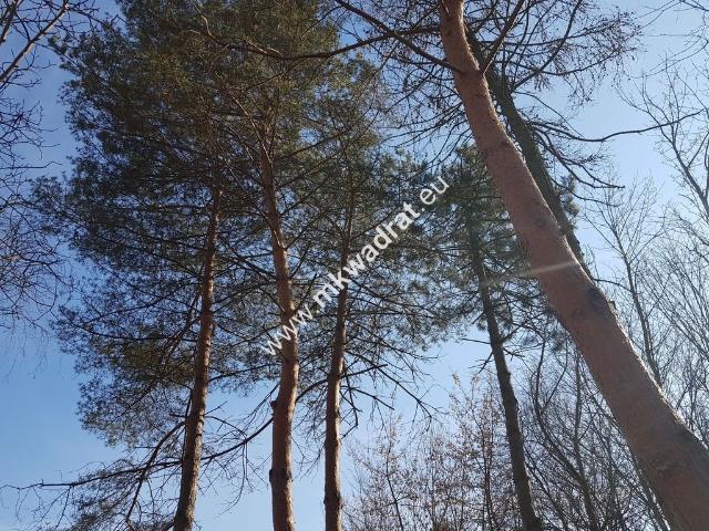 Dom na sprzedaż 4 pokoje Brwinów, 140 m2, działka 1014 m2