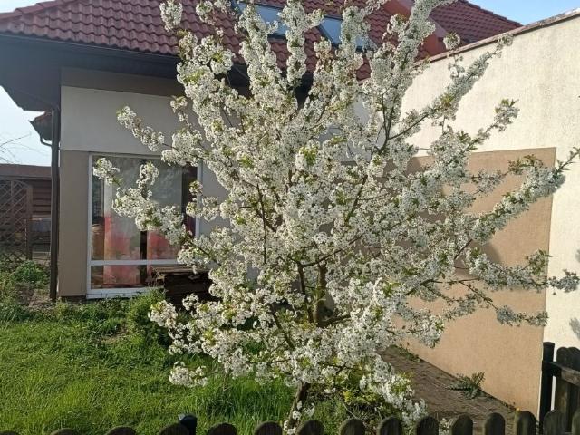 Dom na sprzedaż 4 pokoje kartuski, 107,63 m2, działka 278 m2