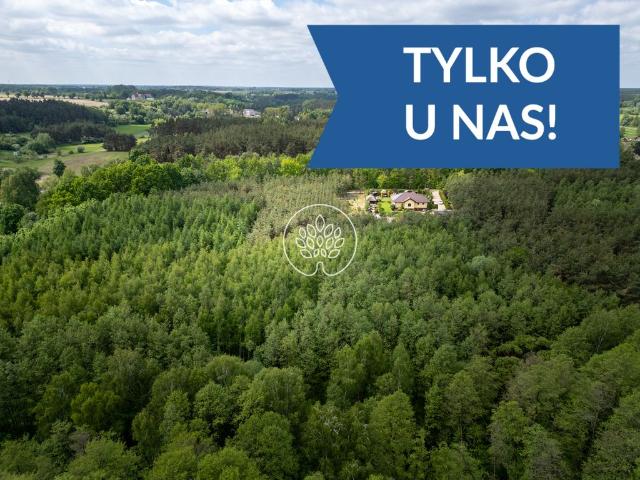 Dom na sprzedaż 6 pokoi mogileński, 140 m2, działka 26363 m2