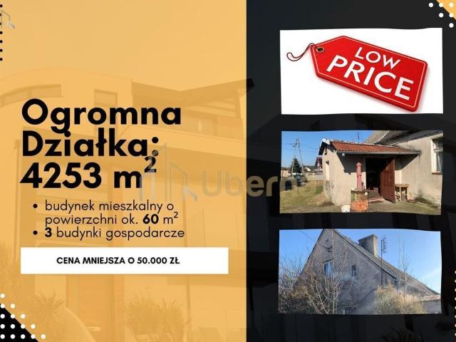 Dom na sprzedaż