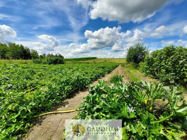 Dom na sprzedaż