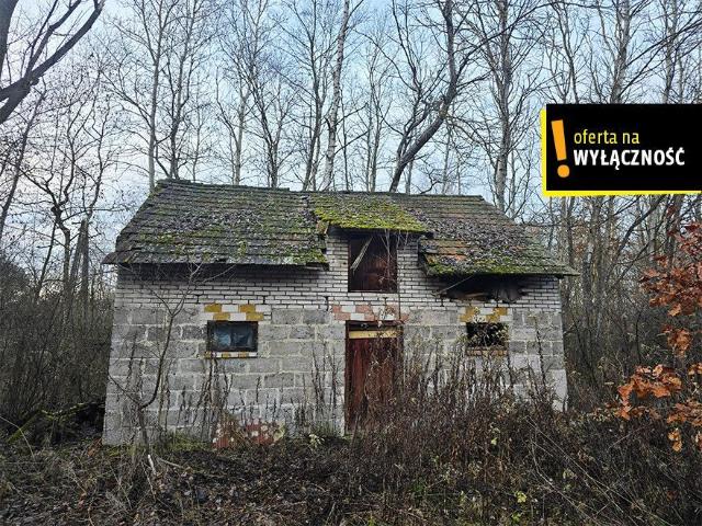 Dom na sprzedaż 1 pokój buski, 55 m2, działka 4170 m2