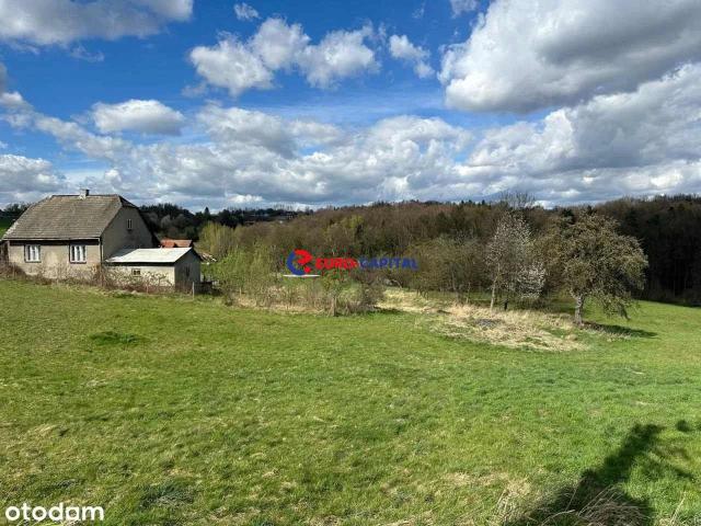 Dom na sprzedaż 2 pokoje wadowicki, 100 m2, działka 7651 m2