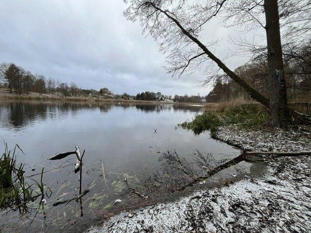 Dom na sprzedaż 3 pokoje Szczecin, 145 m2, działka 26133 m2