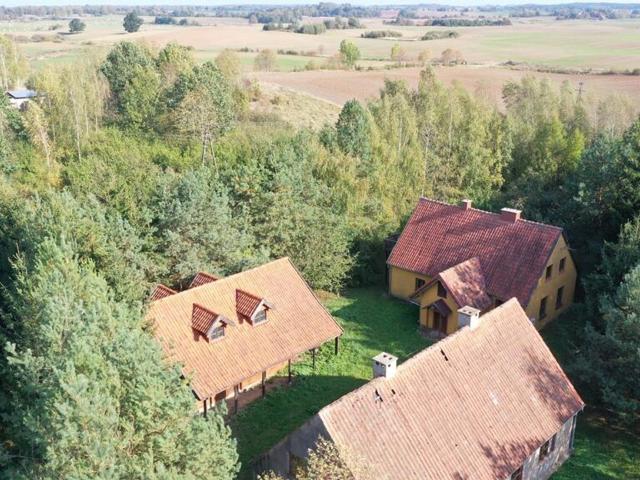 Dom na sprzedaż, Pasternak