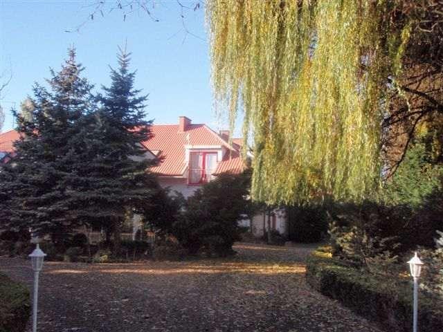 dom na wynajem Szczecin
