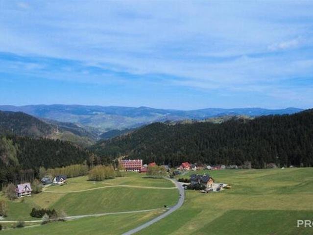 Dom Piwniczna Zdrój Sucha Dolina