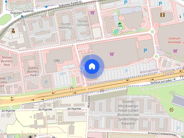 Dom w centum, TYLKO POD MAGAZYN