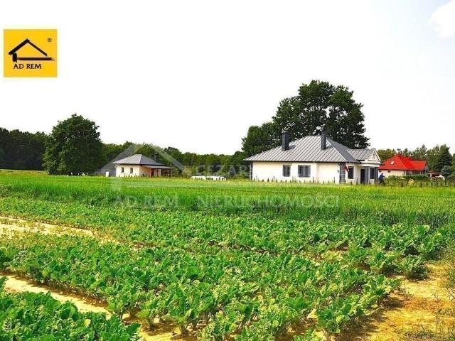 Dom z basenem i domkiem gościnnym w Nałęczowie