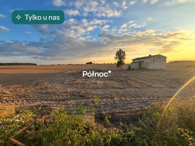 Dom z dużą działką i potencjałem inwestycyjnym