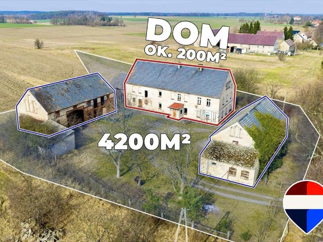 Dom z 8 pokojami, strychem i dużą działką w Chojnowie