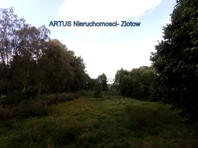 Domańskiego 4 489 m², Złotów