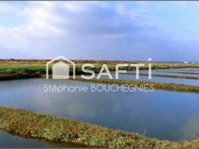 DOMAINE MARITIME RARE – SITE CONCHYLICOLE & AQUACOLE – ÎLE D’OLÉRON
