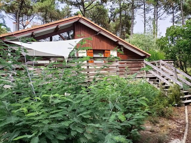 Domaine naturiste de la Jenny fauvette