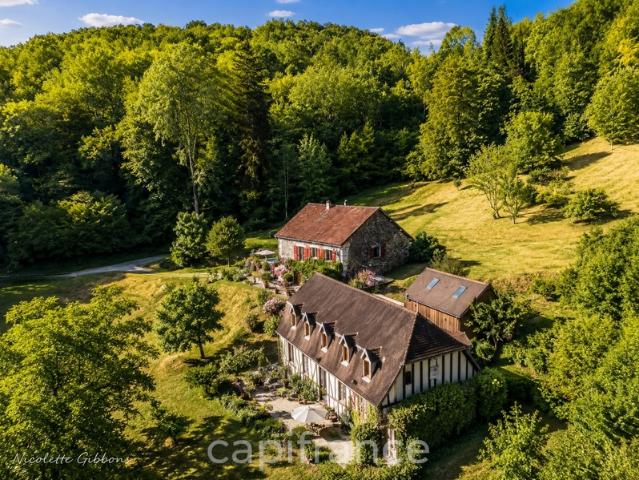 Domaine avec Trois Gîtes, Deux Sources Naturelles, Deux Piscines et 6 Hectares aux Portes de Beaulieu sur Dordogne