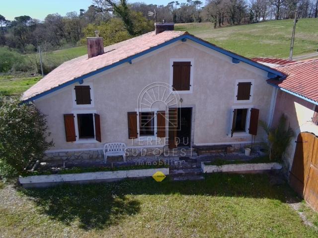 Domaine agricole ? Maison et dépendances sur plus de 20 hect. 153m² Caupenne