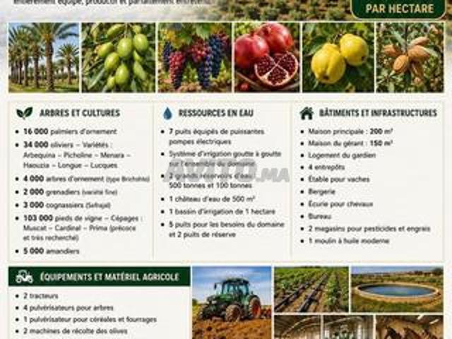 Domaine agricole de luxe à vendre – 96 hectares