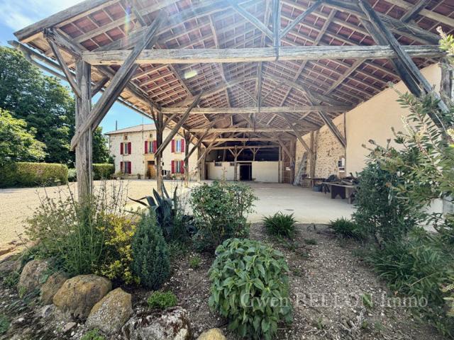 Domaine de charme face aux Pyrénées 585 m² habitables, gîtes exploités, piscine, grange et dépendances