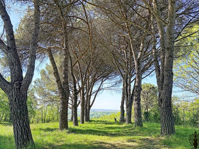 Domaine de prestige à 30 minutes de Bordeaux