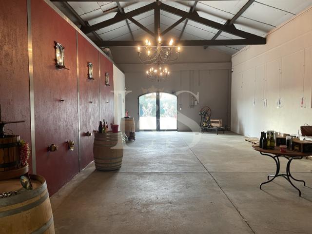 Domaine de 38 hectares en Cru de la Vallée du Rhône